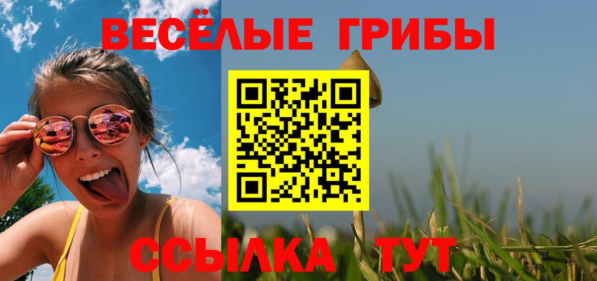 Псилоцибиновые грибы GOLDEN TEACHER  Псилоцибиновые грибы ЛСД  что такое наркотик  Киселёвск  Вход с VPN 