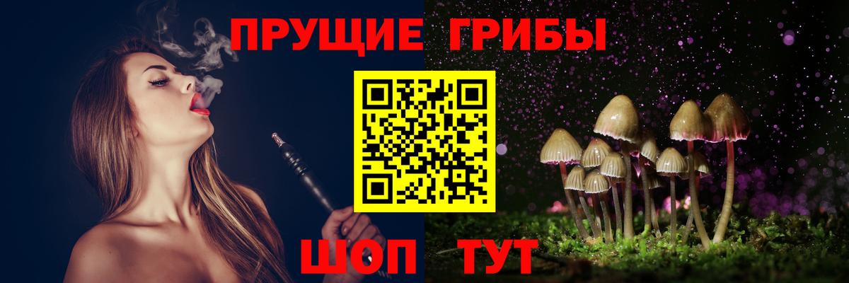 Галлюциногенные грибы MAGIC MUSHROOMS Киселёвск